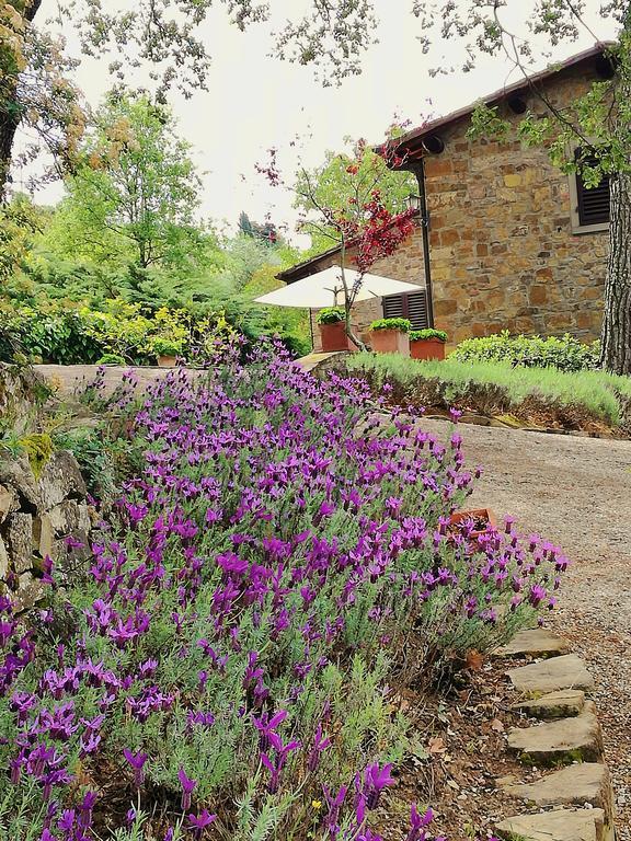 Villa Toscana Il Capiteto Panzano in Chianti Exterior photo
